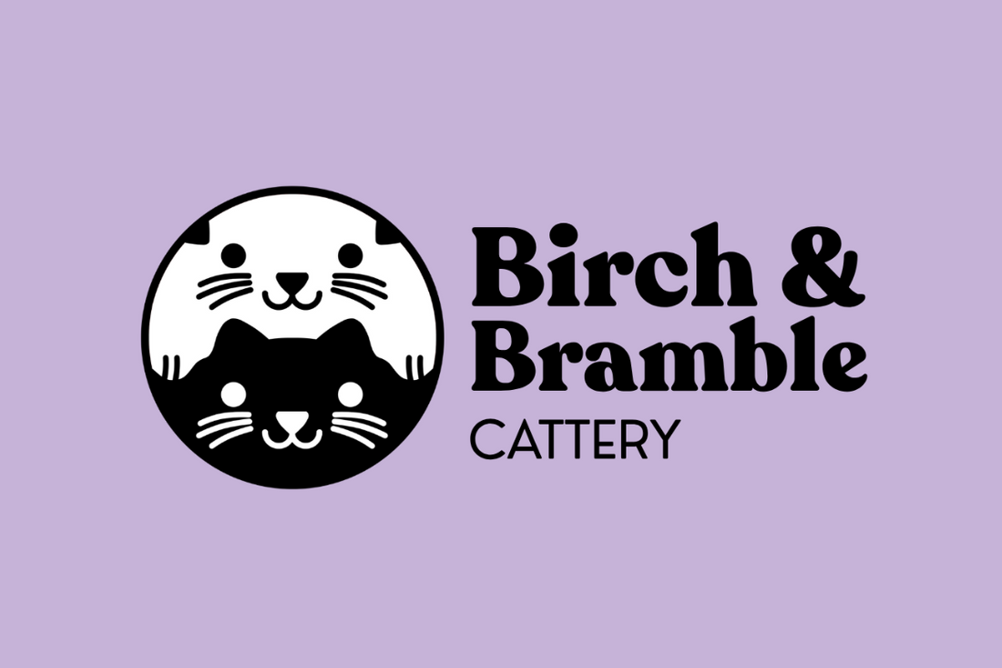 Meet Birch & Bramble: Behind the Whiskers of Our Cattery