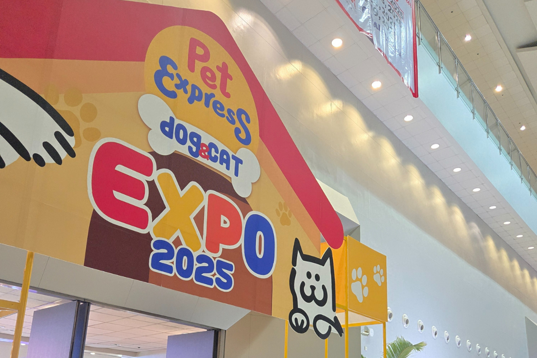 Purr-fect Weekend: Our Star Cats at Pet Expo 2025 SMX