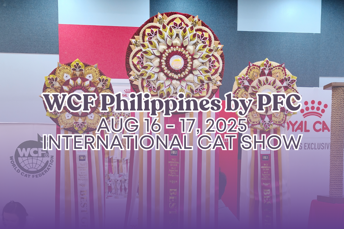 A Purr-fect Weekend: Birch & Bramble Shines at the WCF PFC International Cat Show