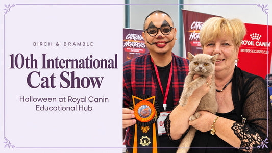 Birch & Bramble at the 10th International Cat Show, with an original Halloween event photograph of a cat, exhibitor and judge