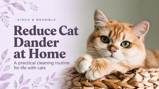 Reduce Cat Dander at Home: a practical cleaning routine for life with cats, featuring a golden cat resting in a woven basket.