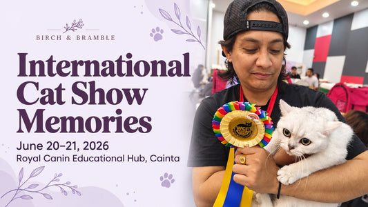 Birch & Bramble International Cat Show memories, June 20–21, 2026, with an exhibitor holding a silver cat beside a WCF rosette.
