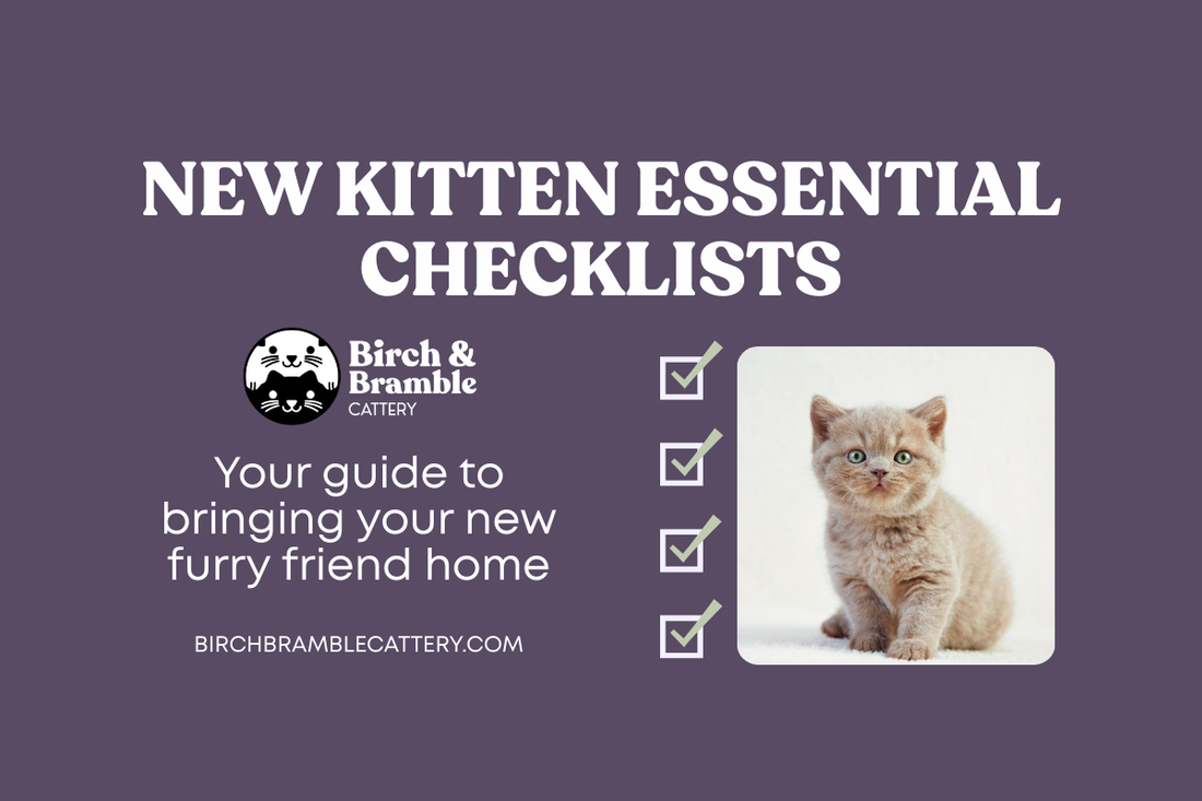 New Kitten Essentials Checklist (Breeder-Approved Starter Kit)