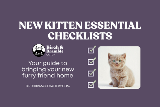 New Kitten Essentials Checklist (Breeder-Approved Starter Kit)