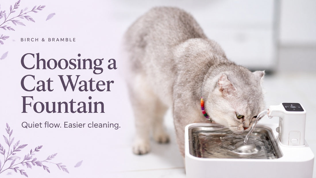 Choosing a Cat Water Fountain: silver cat drinking from a fountain with plum and lavender Birch & Bramble branding