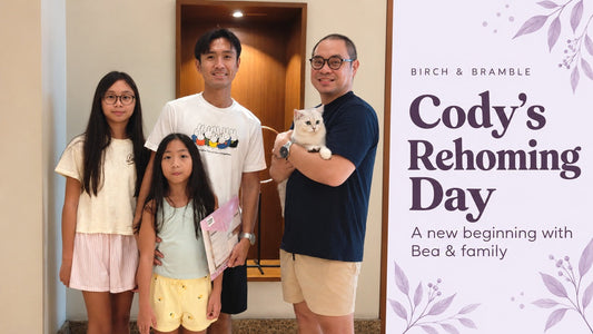 Cody’s rehoming day with Bea and family, with a plum headline and lavender Birch & Bramble branding.