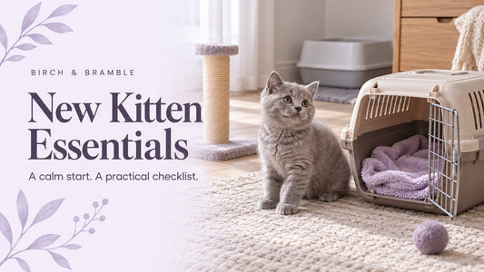 New Kitten Essentials: silver kitten beside an open carrier and scratching post with plum and lavender branding