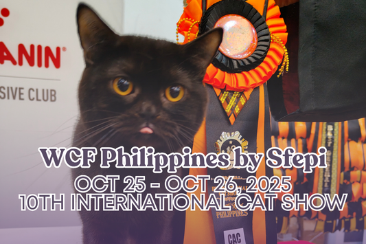 Birch & Bramble at the 10th International Cat Show: Halloween at the Royal Canin Educational Hub