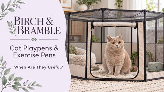 Fawn British Shorthair seated in a roomy roofed mesh playpen beside the Birch & Bramble guide title.