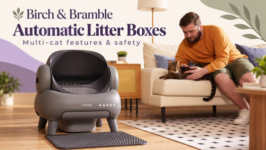 Neakasa open-top automatic litter box beside a man relaxing with his tabby cat, with multi-cat features and safety title