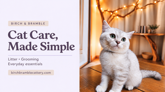 Cat Care, Made Simple cover with a silver cat sitting on a wooden bench beside a pale lavender title panel.