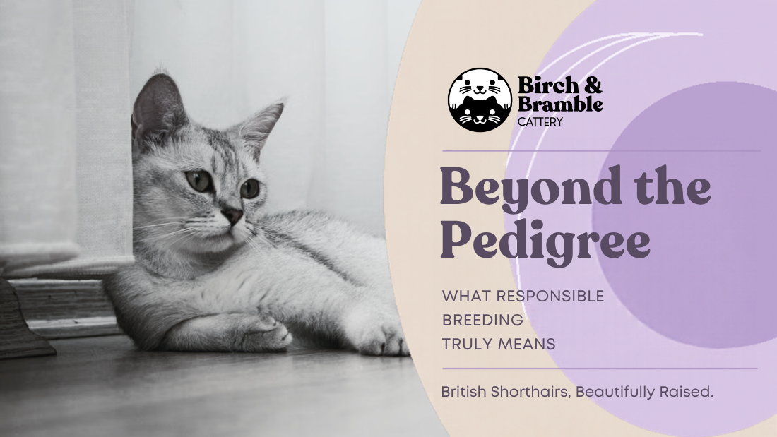 Beyond the Pedigree: What Responsible Breeding Truly Means