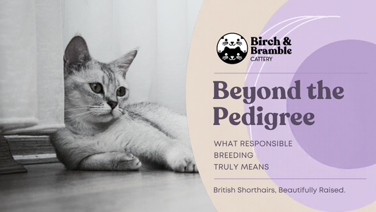 Beyond the Pedigree: What Responsible Breeding Truly Means