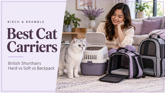 British Shorthair beside hard, soft and backpack cat carriers with a female owner
