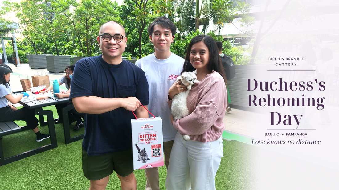 Duchess’s Rehoming Day: Baguio to Pampanga. Original group photograph with Duchess and her new fur family, with plum headline and lavender Birch & Bramble Cattery branding.