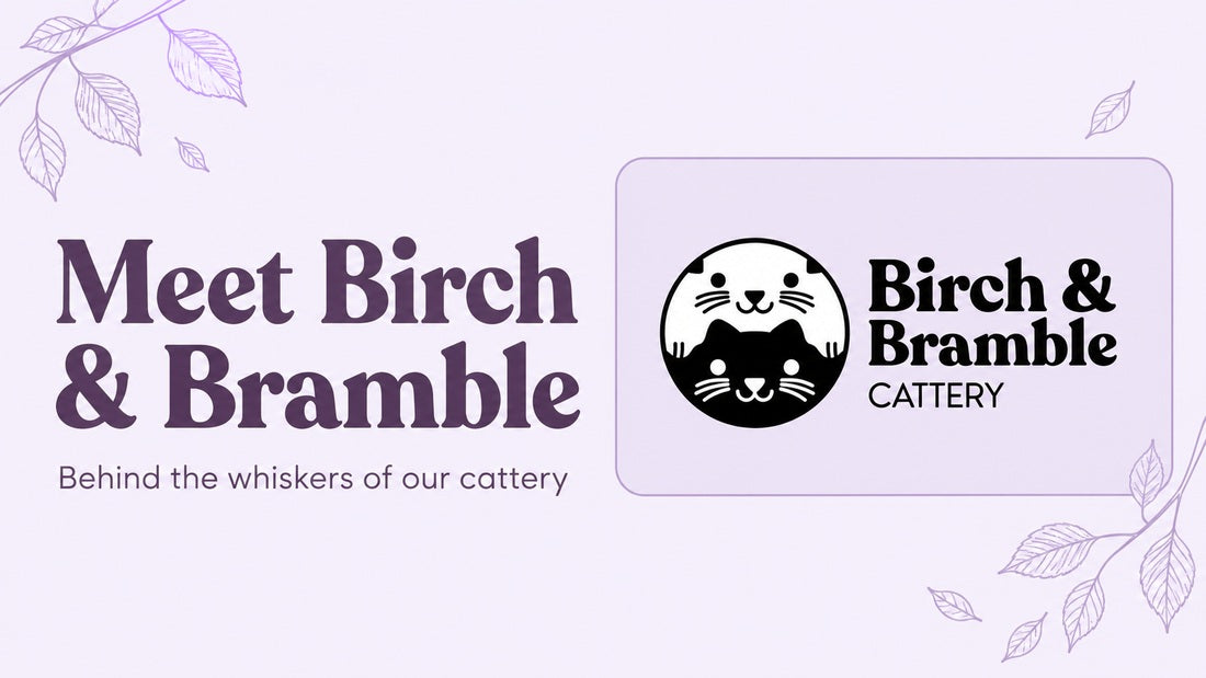 Meet Birch & Bramble: Behind the whiskers of our cattery, featuring the official paired-cat logo on a plum and lavender banner