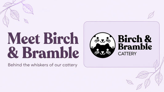 Meet Birch & Bramble: Behind the whiskers of our cattery, featuring the official paired-cat logo on a plum and lavender banner