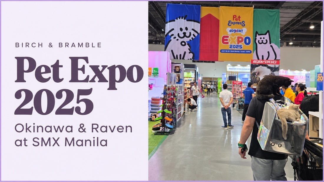 Okinawa and Raven exploring Pet Expo 2025 at SMX Manila with Birch & Bramble