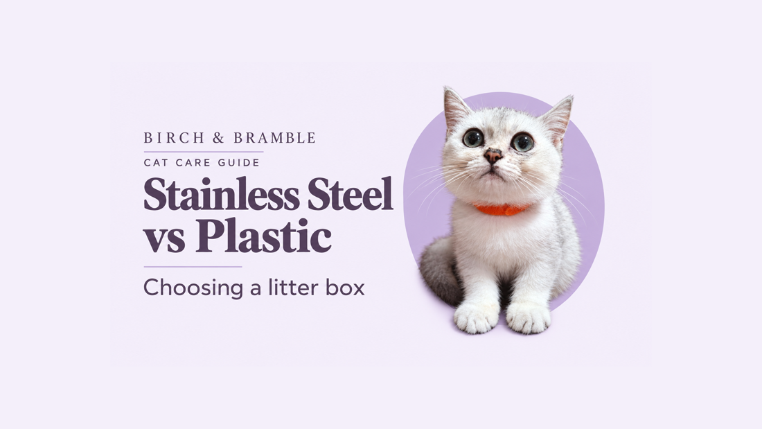 Silver kitten with an orange collar on a lavender Birch & Bramble cover titled “Stainless Steel vs Plastic,” with the subtitle “Choosing a litter box.”